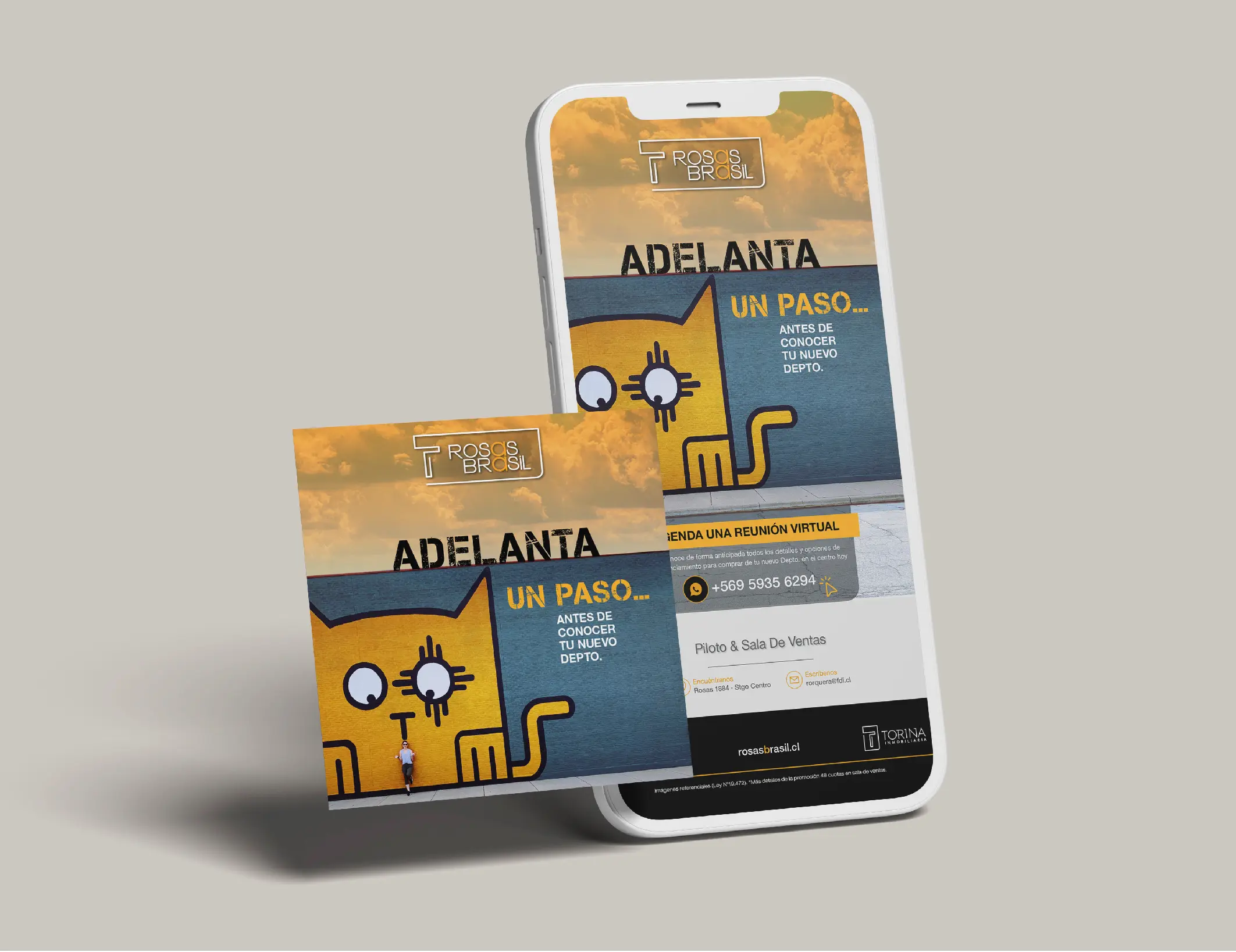 Portafolio La pATOTA