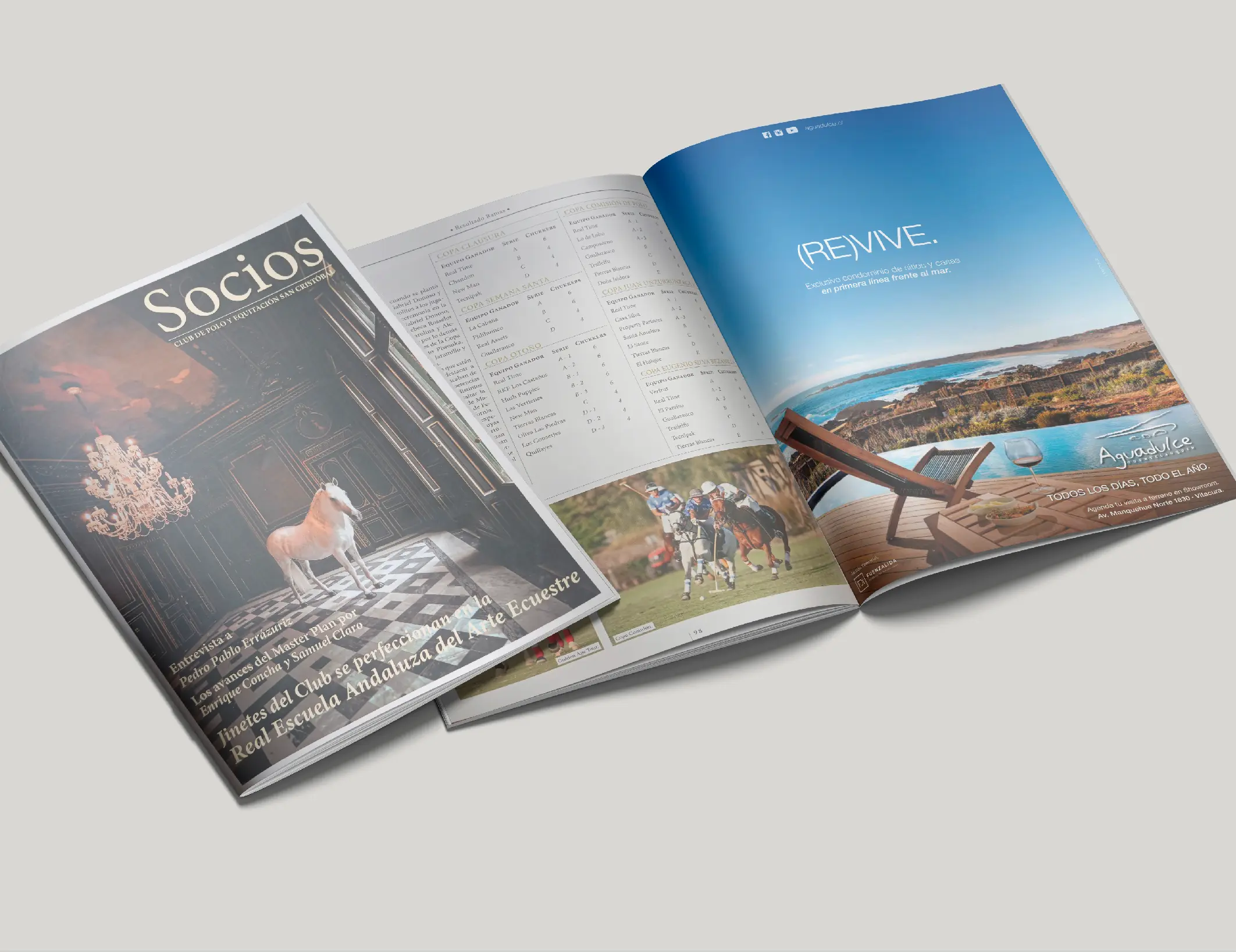 Portafolio La pATOTA