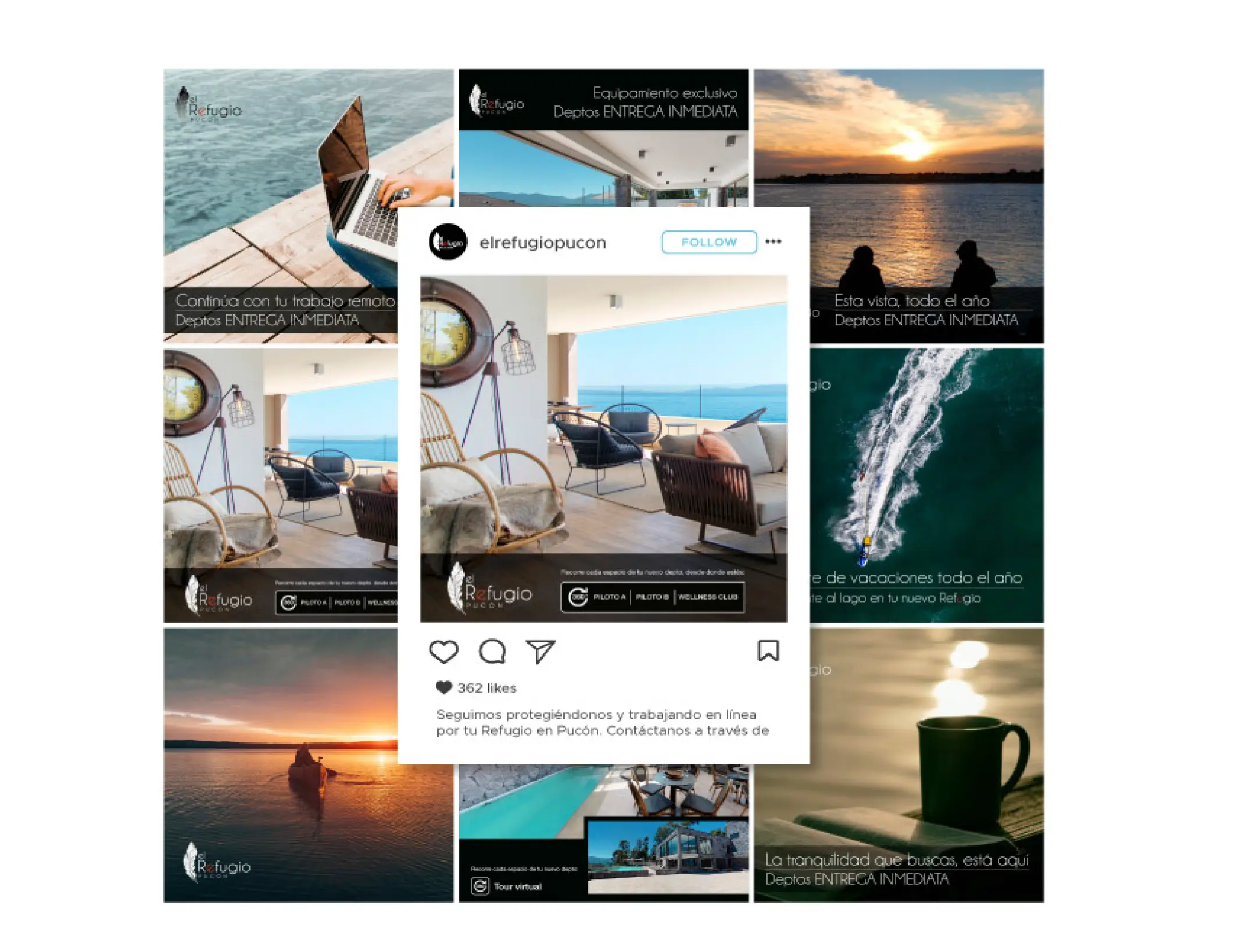 Portafolio La pATOTA