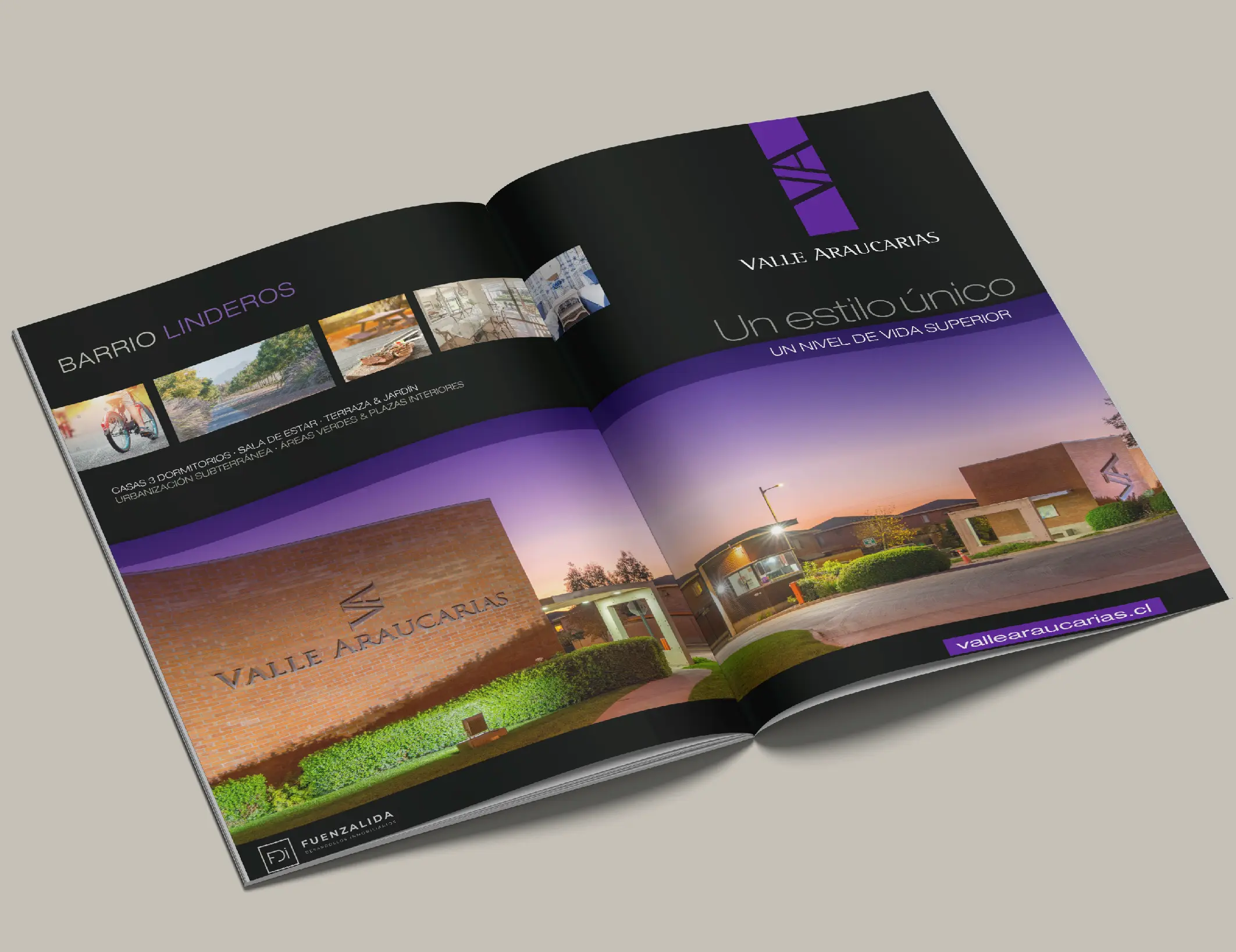 Portafolio La pATOTA