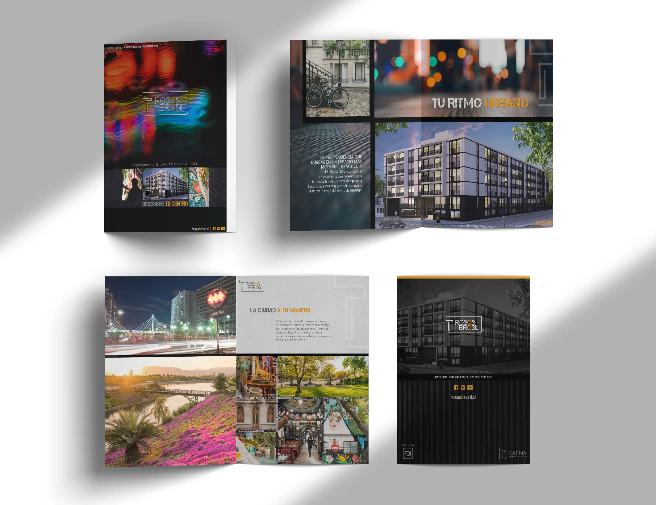 Portafolio La pATOTA